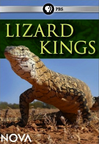 Lizard kings dvd nova